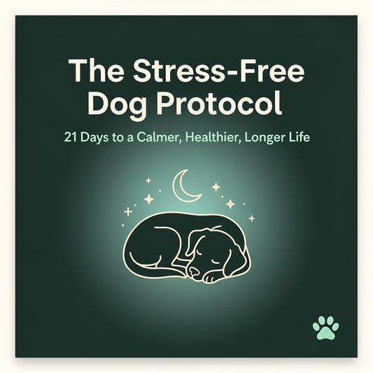 THE STRESS FREE DOG PROTOCOL